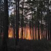 Officials Urge Caution as Wildfires Burn Across South Mississippi