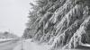 Delaware's snowstorm said to be worst since 1994 ice storm