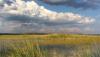 Proposed budgets defund Florida Forever, but do provide for conservation easements