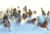 Inner Mongolia showcases horse culture at winter photography festival