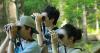 Registration open for 20th Georgia Youth Birding Competition