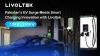 Pakistan’s EV Surge Meets Smart Charging Innovation with Livoltek