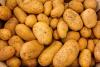 From stomach soother to health food: Re-evaluating the common potato