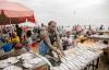 Guinea-Bissau bans fishmeal, fish oil production as small pelagic concerns mount