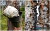 Rubber Market Likely To Remain Steady With Slight Downward Bias Next Week