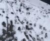 Shocking ‘Rat Highway’ Goes Viral After Snowstorm In New York