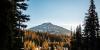 NAEGELI Deposition & Trial Builds Legal Support in Bend, Oregon