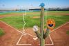 Baseball Spring Training in Phoenix, Arizona
