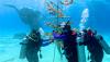 2026 Outplanting Initiative Strengthens The Bahamas’ First Line of Defense Against Climate Change