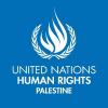 UN Human Rights Office Warns of Escalating Settler Violence in West Bank
