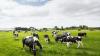 Agri-food faces challenges of 'competitiveness and resilience' - report