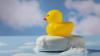 Bath toys and science: Rubber ducks in scientific thought