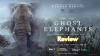 Review: Werner Herzog’s "Ghost Elephants" Is A Poetic Search for Angola’s Elusive Giants