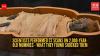 Scientists performed CT scans on 2,000-year-old mummies - what they found shocked them