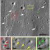 Scientists discover recent tectonic activity on the Moon