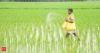 Big change on cards to how fertiliser subsidy is transferred? What Agriculture Minister is proposing