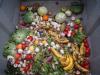New York Food Waste Action Network Launches to Cut Climate Pollution and Fight Hunger