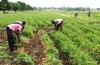 Why banks won’t lend to farmers — And how to fix it in the n...