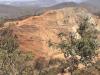 Zim’s gold curse: Fighting environmental devastation
