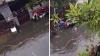 Bali: Shocking video shows deadly pythons swimming in streets of Aussie holiday hotspot