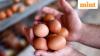 Why has Saudi Arabia banned poultry, egg imports from India, other countries?