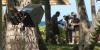 After a dry spell, three film and television productions underway in Hawaii
