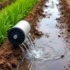 Innovative Water-Treatment System Eliminates Nitrogen and Phosphorus from Agricultural Tile Drainage