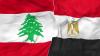 Egyptian foreign minister to visit Lebanon next Wednesday, LBCI sources say