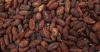 Ivory Coast resumes cocoa sales after months-long pricing dispute - Report