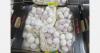 "Growing Chinese garlic under own management opens retail doors, but licence limits remain a challenge"
