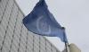 U.N. nuclear watchdog says it's unable to verify whether Iran has suspended all uranium enrichment