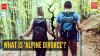 What is an 'Alpine Divorce'? The chilling viral breakup trend that is shocking social media
