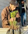 Umm Al-Razm launches “Plant a Tree” initiative to enhance environmental volunteering