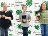 AgriLife Insight – Brazoria County 4-H Junior Creative and Culinary Arts Competition