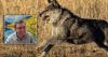 Colorado photographer captures pictures of wolf in Rio Grande County: 'I was just looking for the birds'