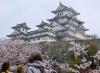 Western Japan cities hike tourism-linked fees to deal with overtourism