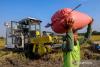 Indonesia orders tighter control on farm equipment aid