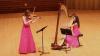OPUS enriches Naperville with chamber music