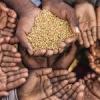 Guyana among four nations with lowest hunger rates in region – UN report