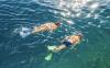 Australian And Hawaiian Snorkeling Operations Face Reckoning