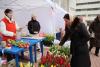 Tulip Festival kicks off in Kyrgyzstan