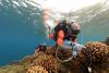 WHOI Scientist Joins Global Tara Coral Expedition to Unlock Secrets of Climate-Resilient Reefs