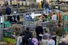 Without cows, Paris Agricultural Show attendance drops by nearly 28%