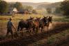 Missouri’s Mule Legacy in American Agriculture