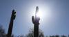 After years of record-hot summers, are record-hot winters next for Arizona?