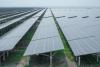 Solar Energy Debate Points to Pan-Blue Stance Against Renewables
