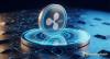 Portugal XRP Holders Flock to Investor Hash International Cloud Mining; Daily Earnings Hit $7,500