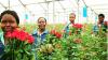 Kenyan flower exporters fear disruption from Middle East airspace closure