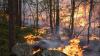 Underground peat fires drive hidden carbon emissions in Swedish wildfires