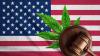 NORML Defends Cannabis Consumers’ Constitutional Rights